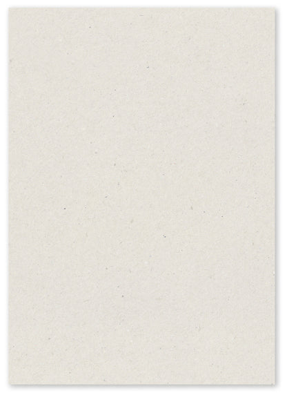 Paperwise Kopieer- en printerpapier A4 72 grams natural - 6 dozen-Nextsupplies