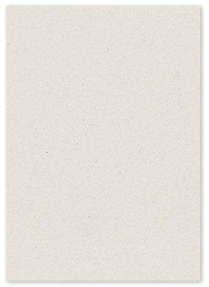 Paperwise Kopieer- en printerpapier A4 72 grams natural - Pallet met 48 dozen.-Nextsupplies