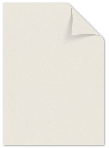 Paperwise Kopieer- en printerpapier A4 72 grams natural - Pallet met 48 dozen.-Nextsupplies